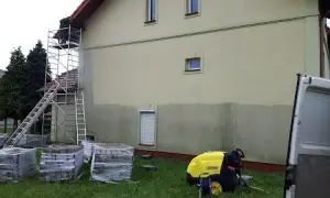 Skuteczne sposoby na to, jak pozbyć się much z elewacji budynku