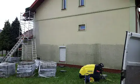 Skuteczne sposoby na to, jak pozbyć się much z elewacji budynku