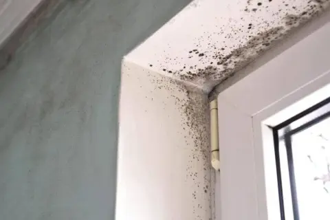 Dlaczego wychodzi grzyb przy oknie? Poznaj przyczyny i sposoby na pleśń