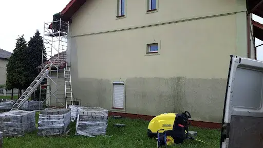 Skuteczne sposoby na to, jak pozbyć się much z elewacji budynku